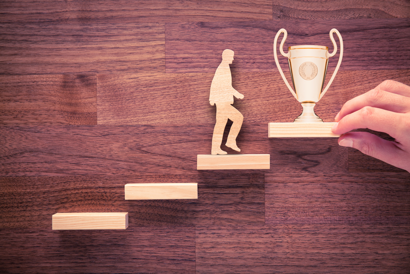 Personal development career